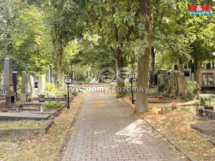 Prodej, Ostatní, Plzeň