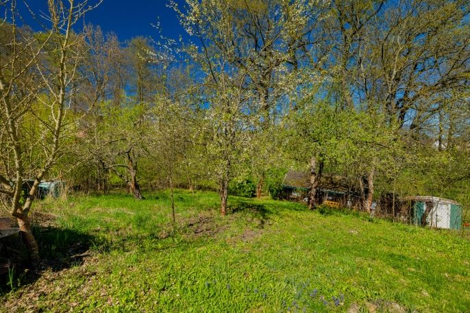 Prodej, Zahrada, Děčín