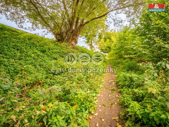 Prodej, Ostatní, Lštění