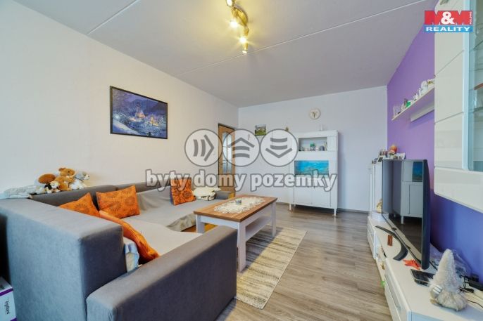 Prodej, Byt 3+1, Bor