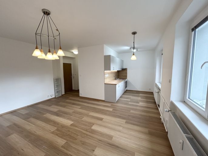 Pronájem, Byt 1+kk, Louny