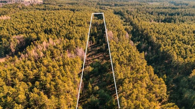 Prodej, Les, Olešnice