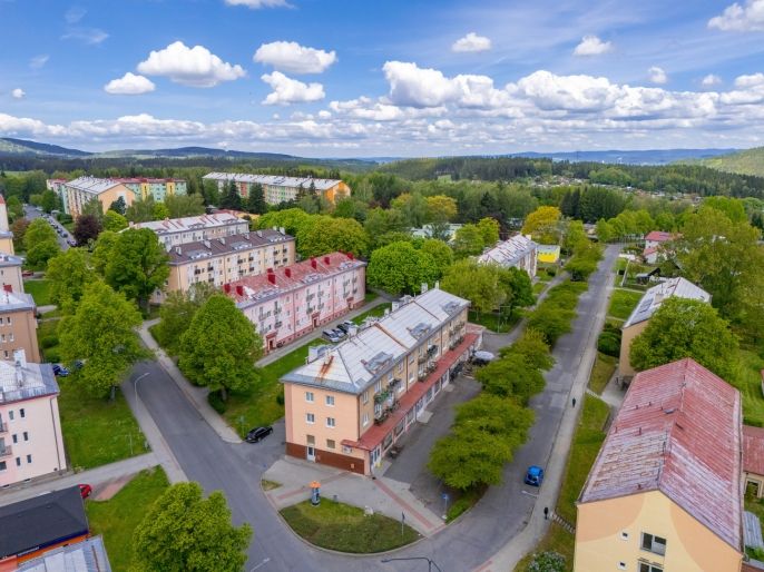 Prodej, Byt 3+1, Horní Slavkov