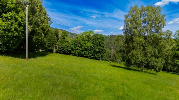 Prodej, Chalupa, Paseky nad Jizerou