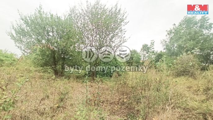 Prodej, Ostatní, Ivančice