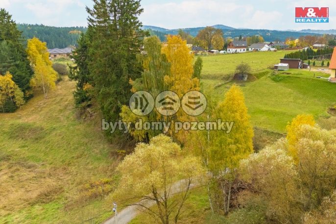 Prodej, Ostatní, Pila