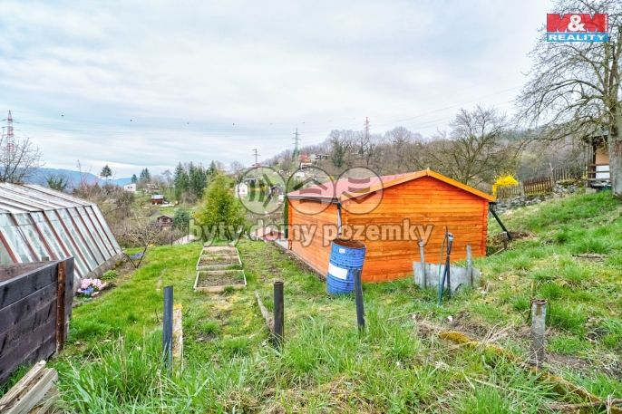 Prodej, Zahrada, Děčín