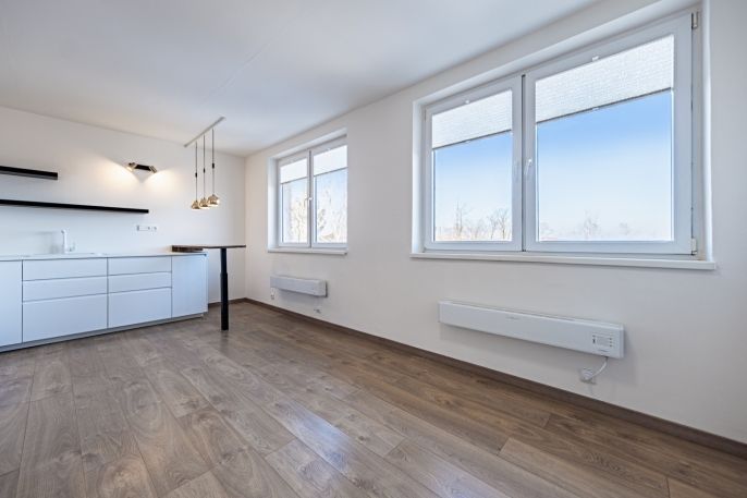 Prodej, Byt 1+kk, Doubravčice