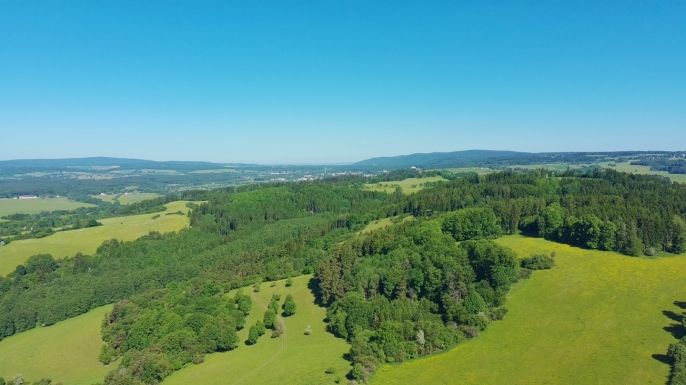 Prodej, Chata, Chodová Planá