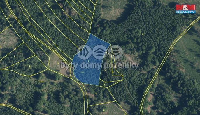 Prodej, Les, Černíkov