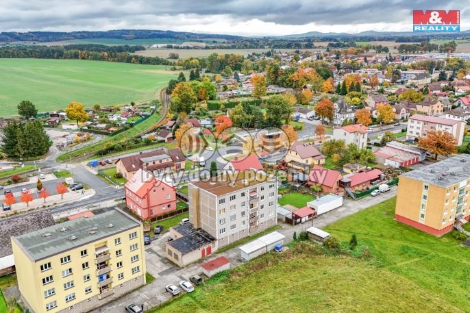 Prodej, Byt 3+1, Bor