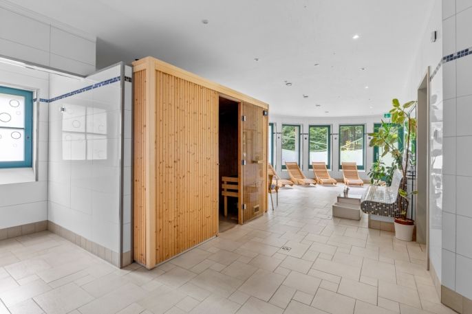 Prodej, Hotel, penzion, Geising
