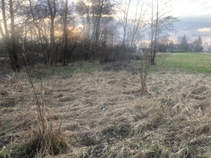 Prodej, Louka, Horní Suchá