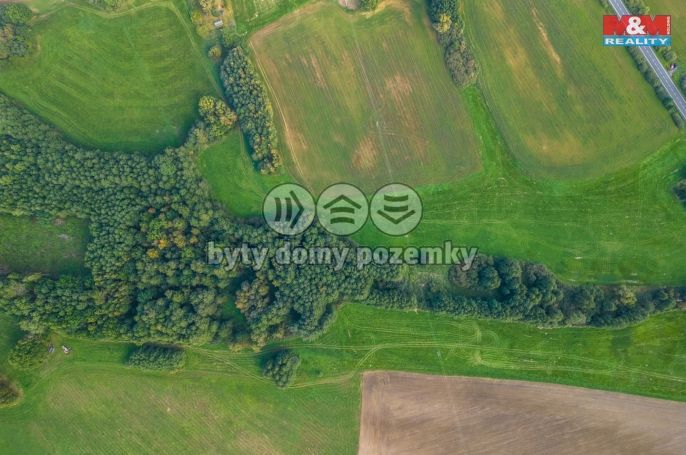 Prodej, Vodní plocha, Nový Bor