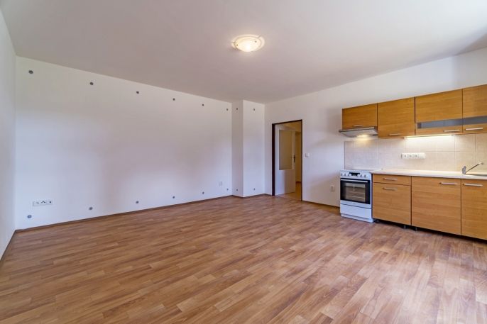 Pronájem, Byt 1+kk, Vlčice