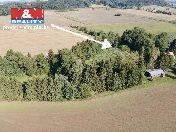 Prodej, Vodní plocha, 5965 m², Rychnov nad Kněžnou