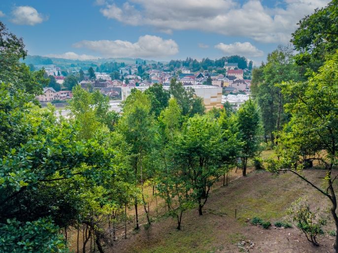 Prodej, Zahrada, Jablonné nad Orlicí