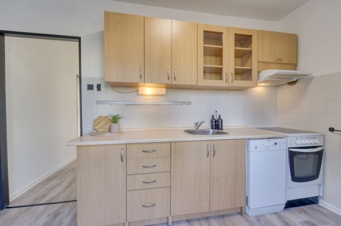 Prodej, Byt 2+1, Vejprnice