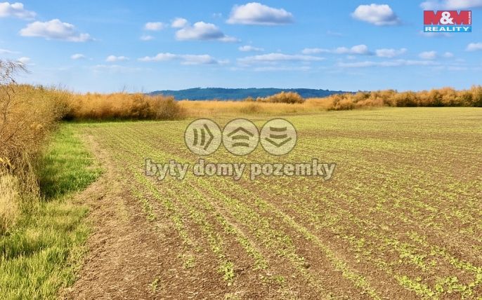 Prodej, Pole, Dolní Roveň