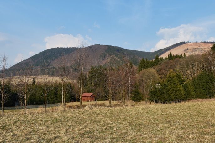 Prodej, Ostatní, Královec