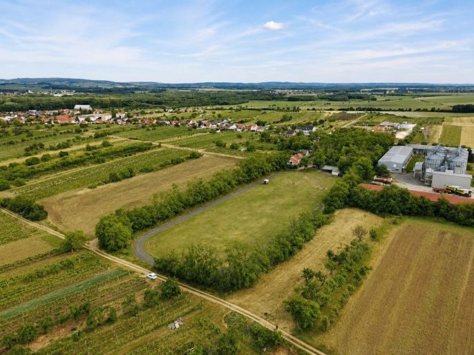 Prodej, Zahrada, Drnholec