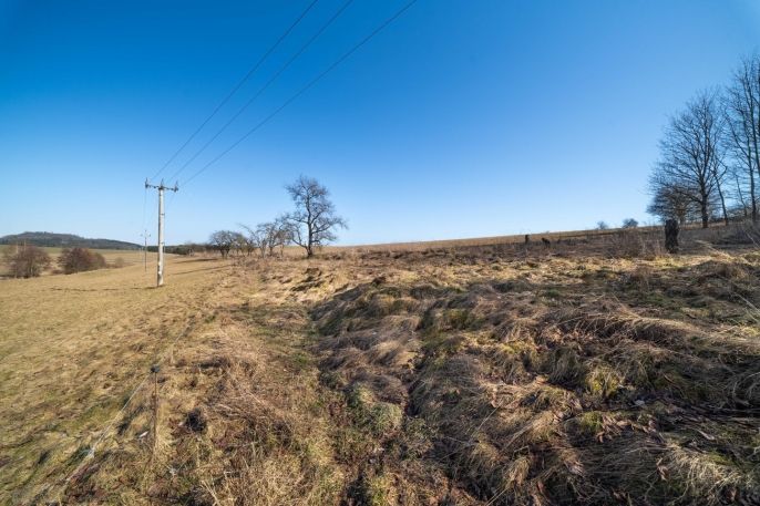 Prodej, Ostatní, Olbramov