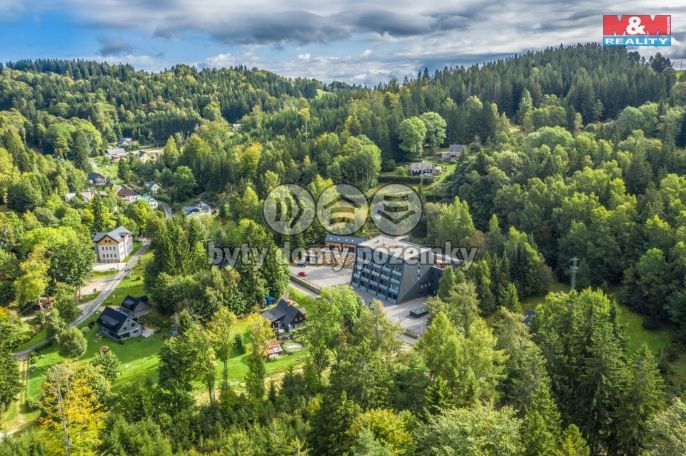 Prodej, Byt 1+kk, Janov nad Nisou