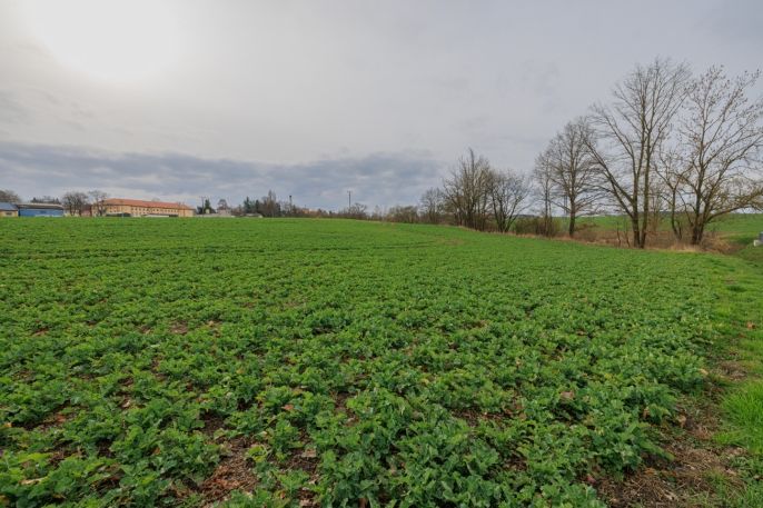 Prodej, Pozemek k bydlení, Dobřany