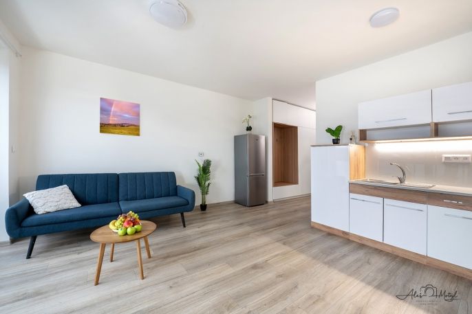 Prodej, Byt 1+kk, České Budějovice