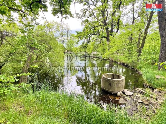 Prodej, Vodní plocha, Žulová