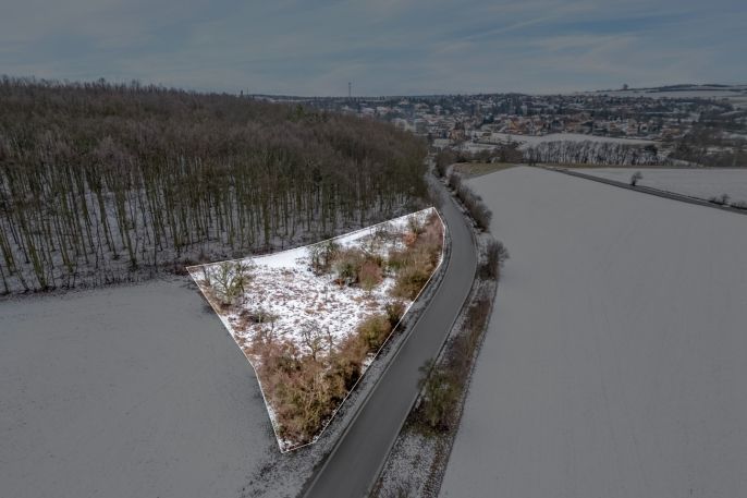 Prodej, Zahrada, Pchery