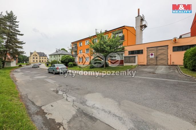 Prodej, Byt 2+1, Bor