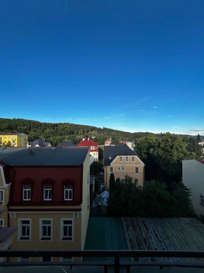 Pronájem, Byt 2+1, Mariánské Lázně