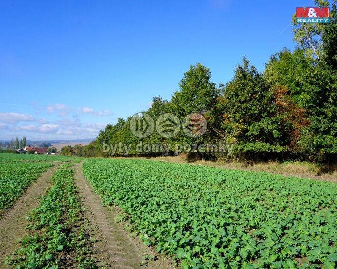 Prodej, Pozemek k bydlení, Třebeň