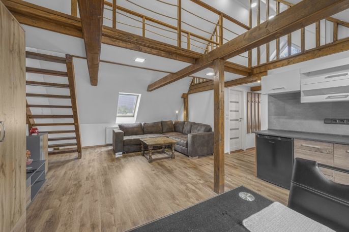 Prodej, Hotel, penzion, Rudník