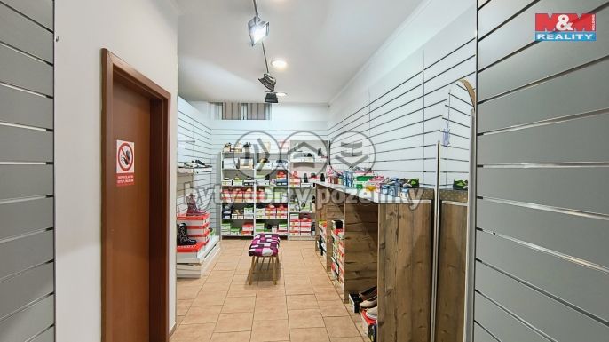 Pronájem, Obchod a služby, Slaný