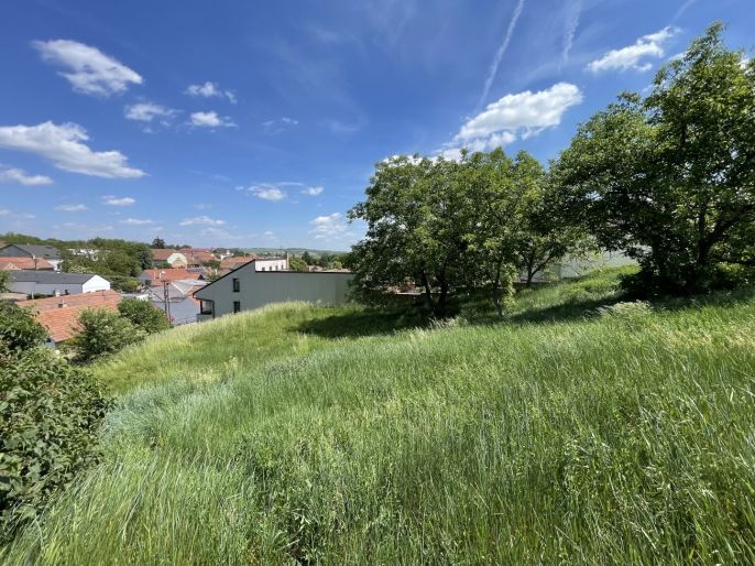 Prodej, Pozemek k bydlení, Holubice