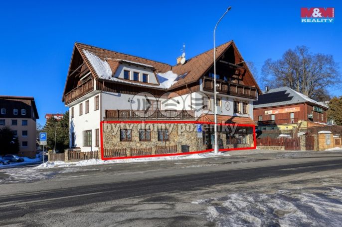 Pronájem, Obchod a služby, Železná Ruda