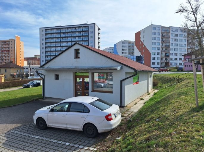 Prodej, Obchod a služby, Zruč nad Sázavou