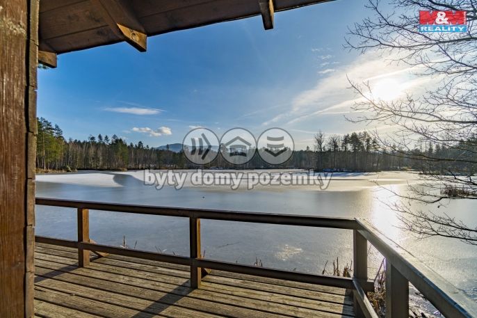 Prodej, Hotel, penzion, Černá Voda