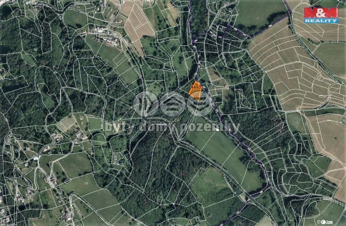 Prodej, Les, Koberovy