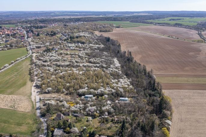 Prodej, Pozemek k bydlení, Škvorec