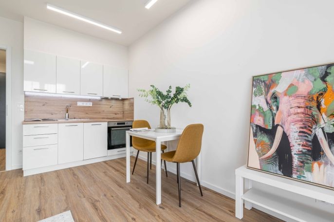 Pronájem, Byt 1+kk, Kladno