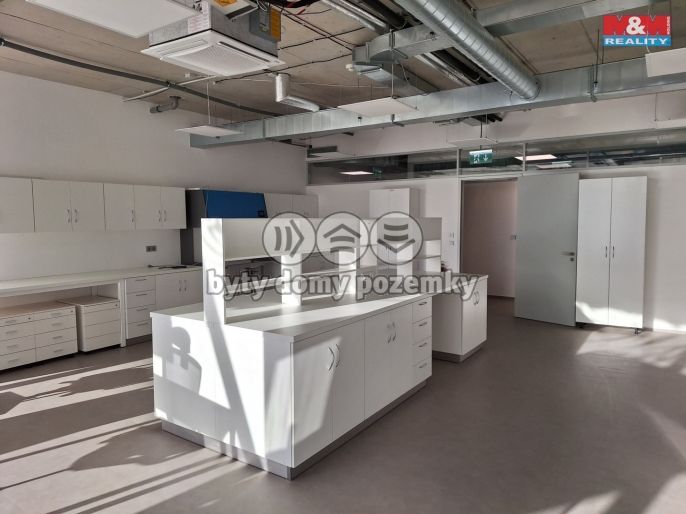 Pronájem, Ostatní, Zlatníky-Hodkovice