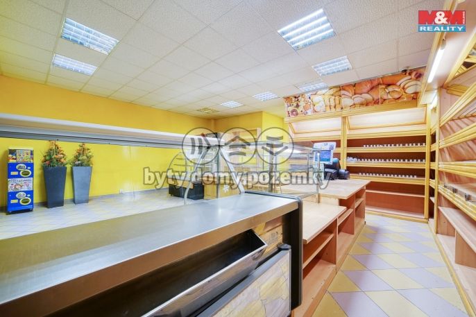 Pronájem, Obchodní objekt, Třemošná