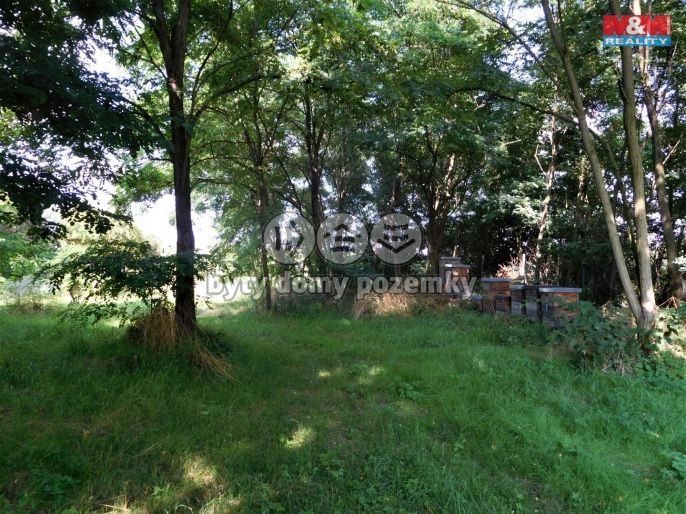 Prodej, Zemědělský objekt, Třebíz