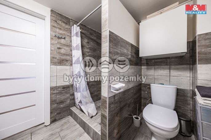 Prodej, Rodinný dům, Želízy