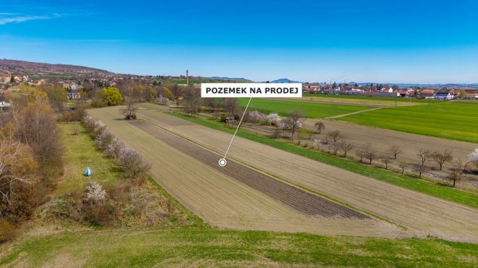 Prodej, Ovocný sad, Třebenice