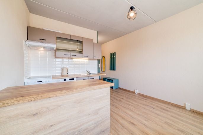 Pronájem, Byt 1+1, Teplá