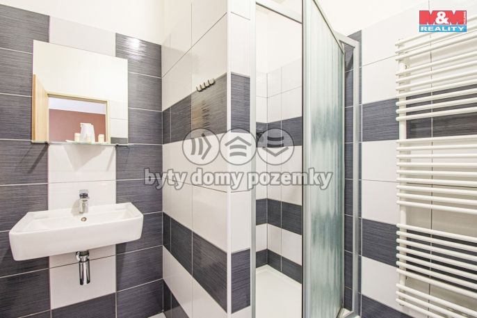 Prodej, Hotel, penzion, Slezské Rudoltice